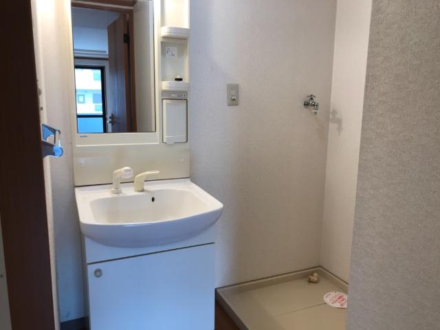 ブエナスエルテ 洗髪洗面化粧台