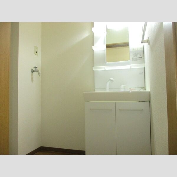 パセオみずほ台　ⅡABA103号室 洗髪洗面化粧台