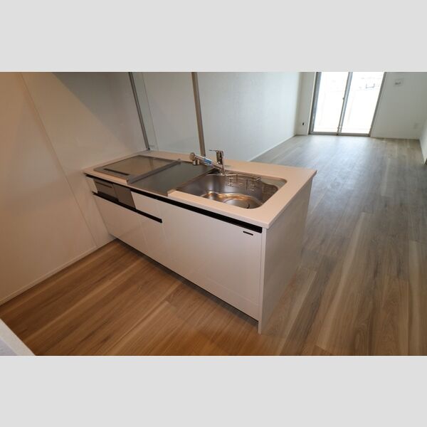 THE RejuvePort KISARAZU0802号室 システムキッチン