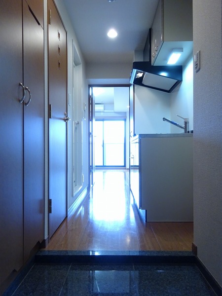 ルーブル溝の口501号室 その他