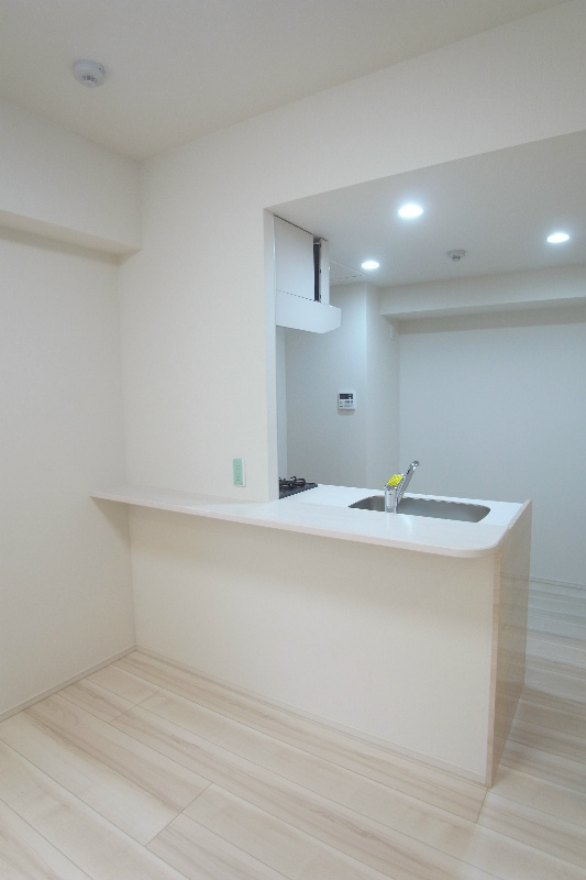 アビタシオン菊川 キッチン