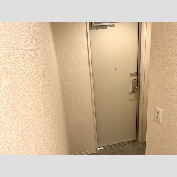 ロイジェントパークス レイクタウン Ⅲ　H201号室 玄関