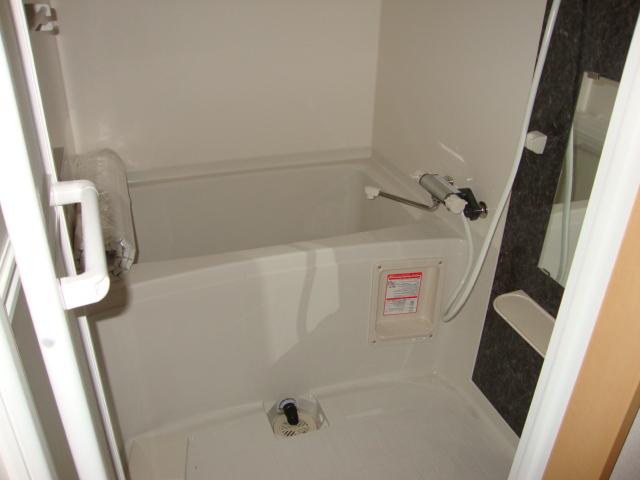 シィーエム・クイーン バス