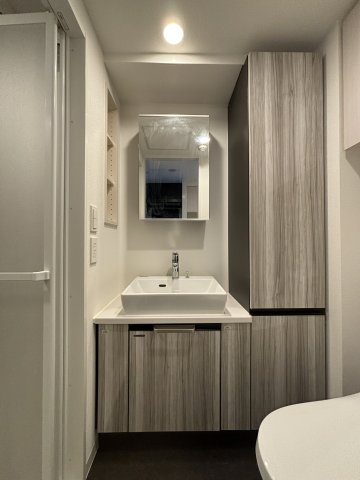 ミリアレジデンス根岸柳通り902号室 洗面