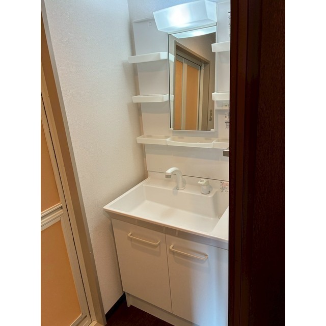 エクレール綾瀬202号室 洗面所