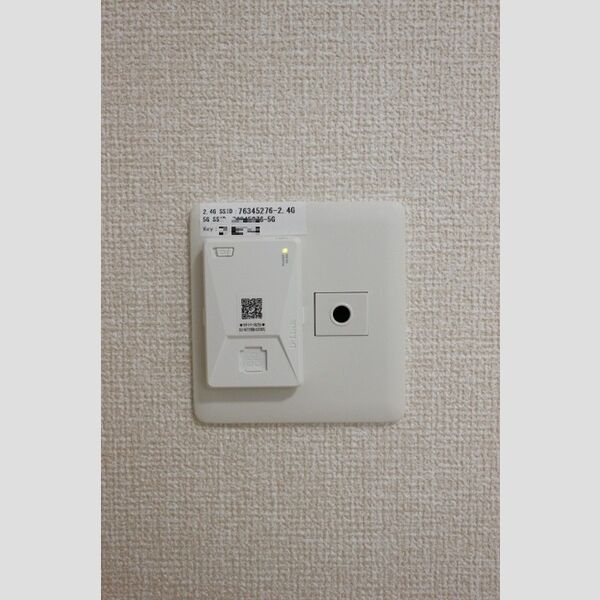 トワ・グレース柏の葉106号室 インターネット