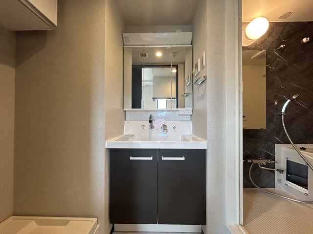 グローリオシェルト駒込 洗面