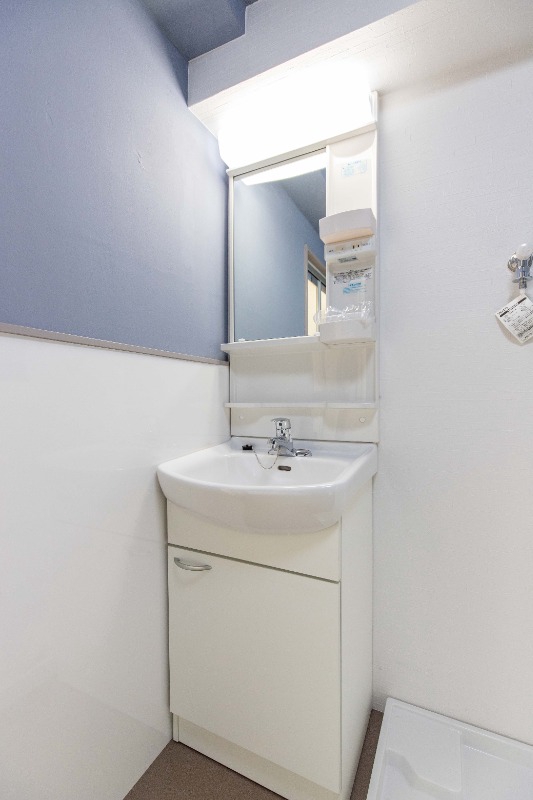 ZionCourt雪谷 洗面