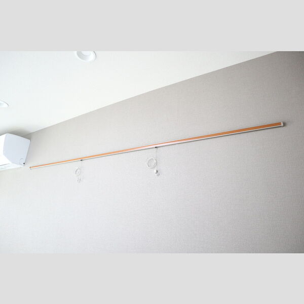 パルナシウス305号室 ピクチャーレール