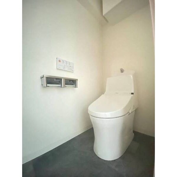 岩田ビル トイレ