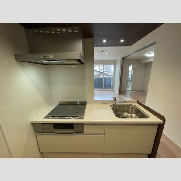 プランドール(富士見)203号室 システムキッチン