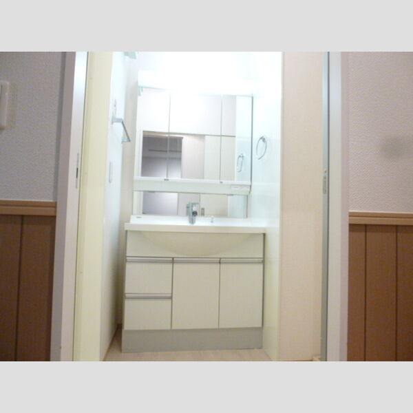 ロイヤルパレス市川101号室 洗髪洗面化粧台