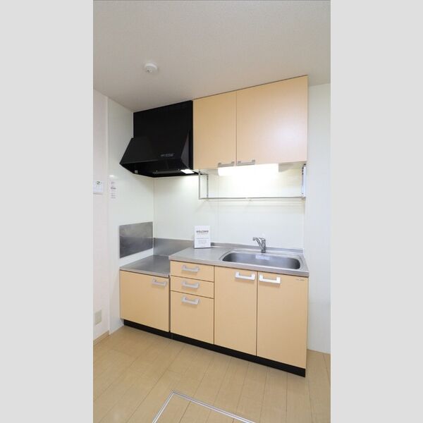 レディアガーデン102号室 ★2口ガスコンロ設置可能★