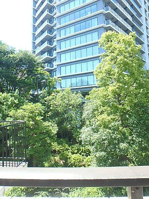 シャンボール新宿3階 展望