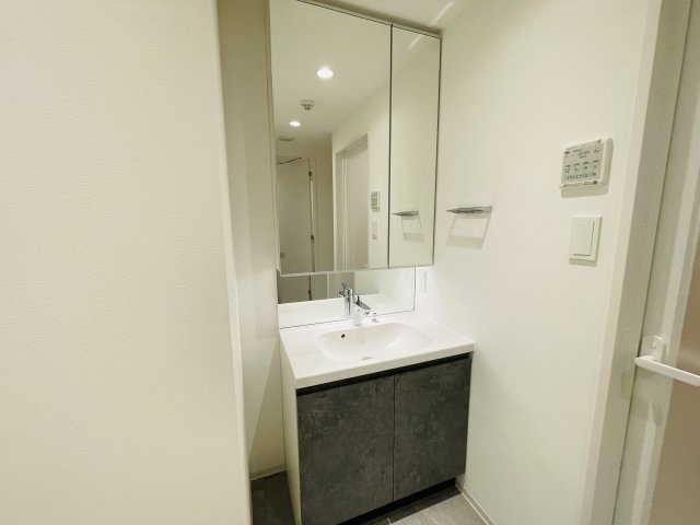 SYFORME NEXT IKEBUKURO WEST202号室 洗面