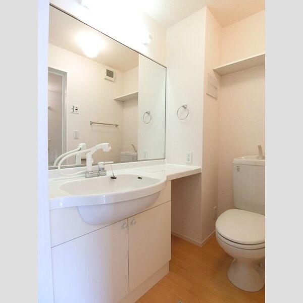 グランモア柳川AB　B201号室 洗髪洗面化粧台、トイレ