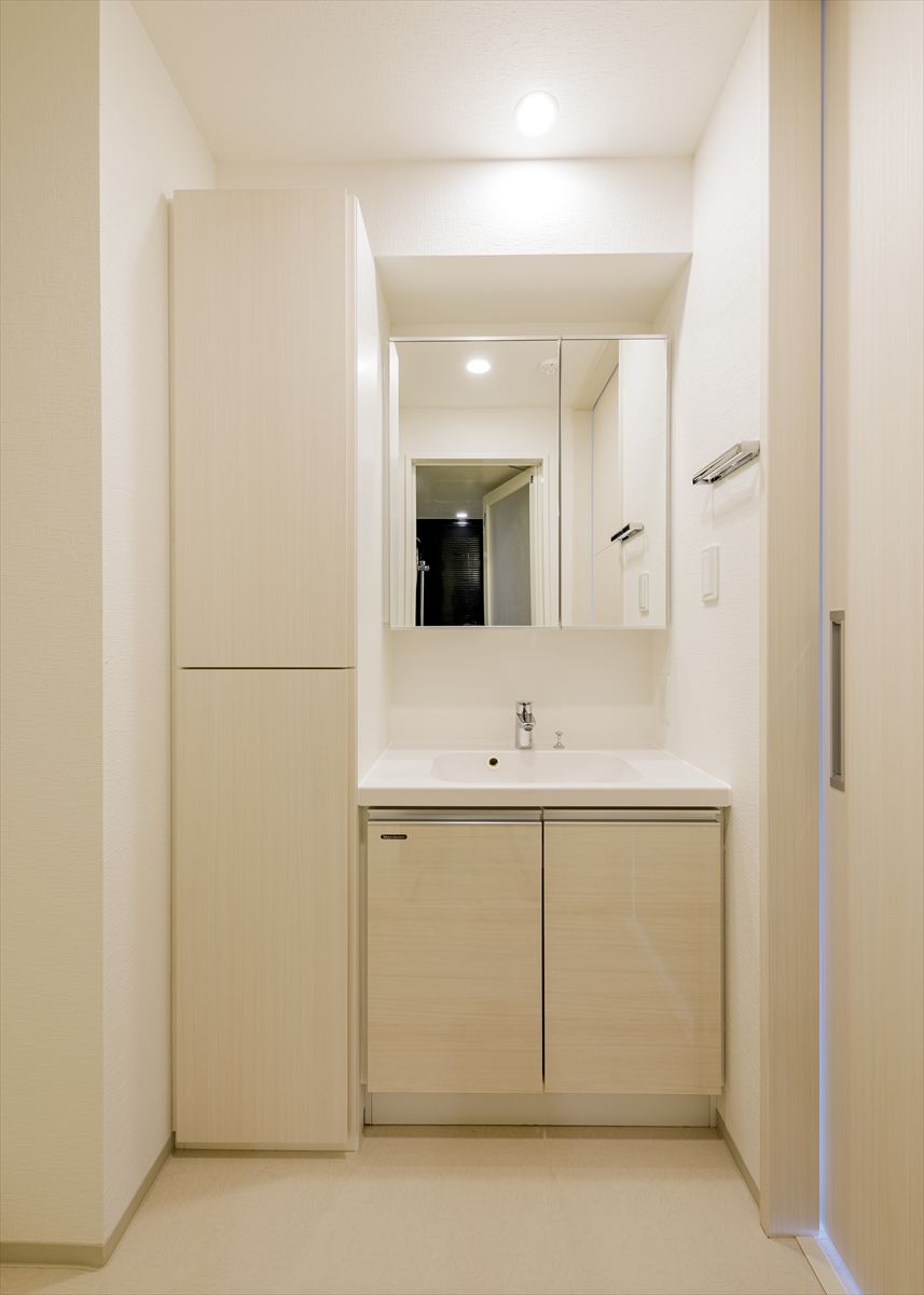 DIPS東十条駅前PREMIUM 洗面