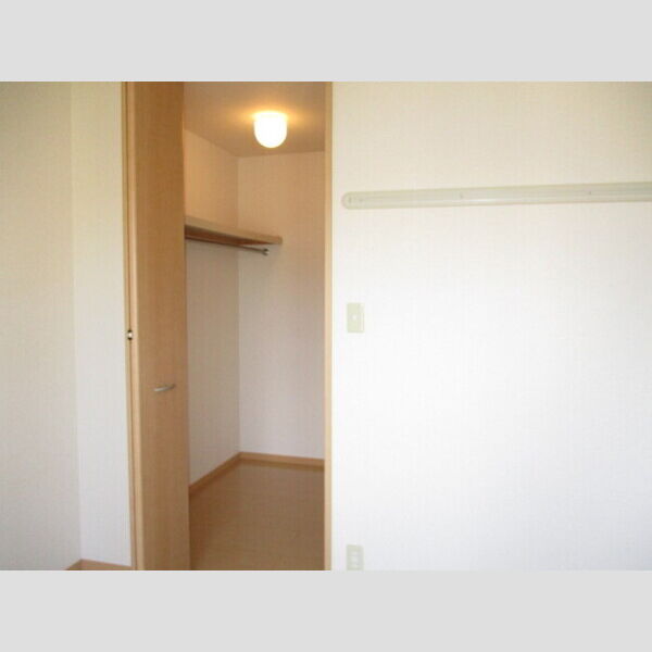 モナリエ古ヶ崎Ⅱ206号室 ウォークインクローゼット