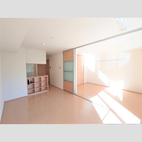 ドルフエンデ LDK10.4帖(別角度)