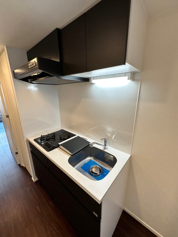 TFレジデンス川崎殿町WEST3階 キッチン