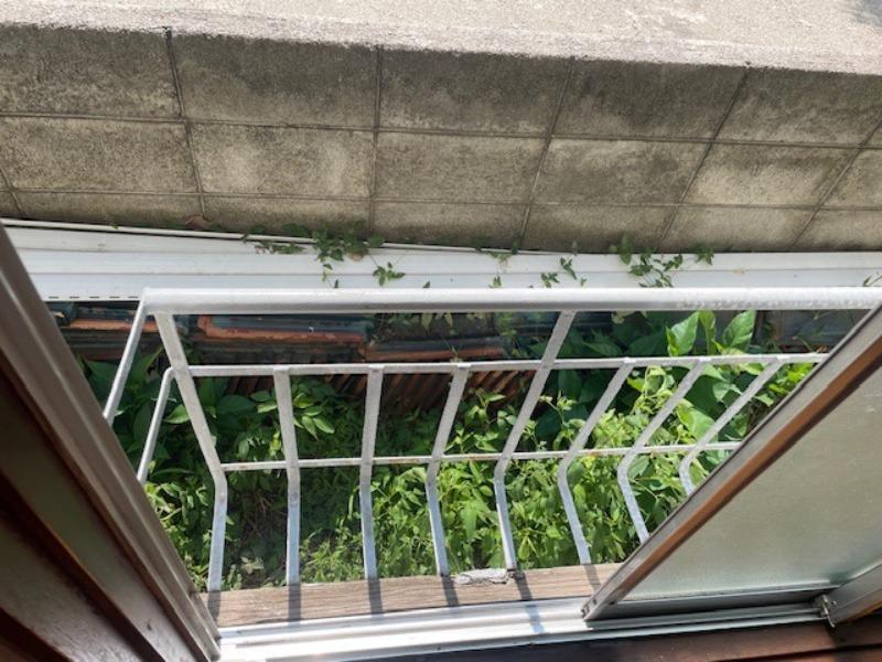 南荘1階 部屋その他