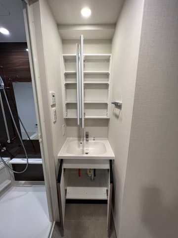 DIPS上野NORTH1001号室 洗面