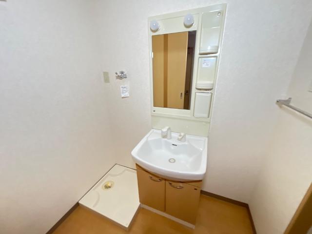 ローザ　オノモン202号室 洗面