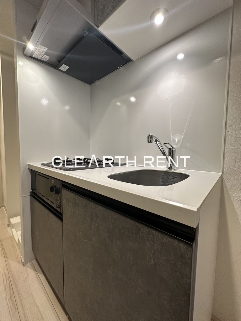 ＴＨＥ ＰＡＳＥＯ新小岩Ⅱ5階 同タイプ別住戸写真となります。現況と異なる場合がございます。