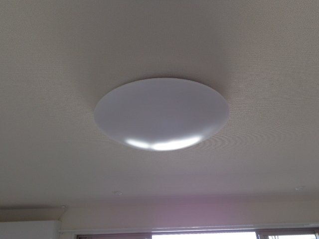 しろくま00205号室 照明