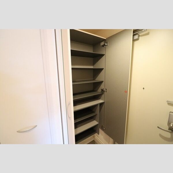 Bell Green シューズボックス(トールタイプ)