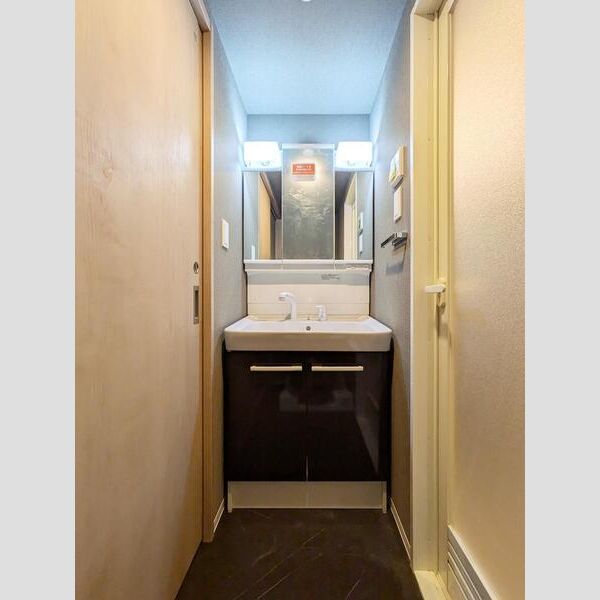 S-RESIDENCE大森bresa 洗面