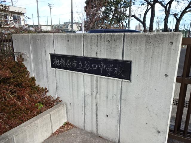 ラピスラズリ 相模原市立谷口中学校まで1,273ｍ