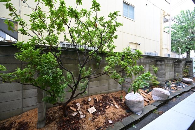 サカエフラット元住吉1階 展望