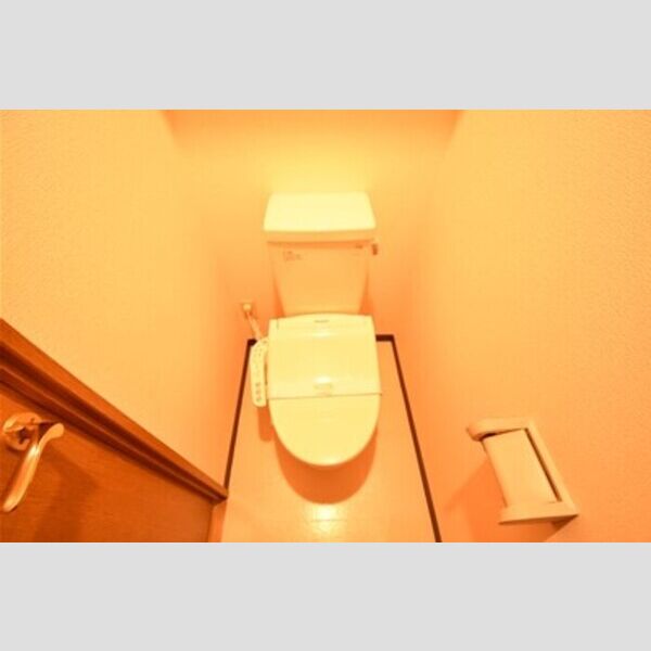 リビングタウン厚木106号室 トイレ