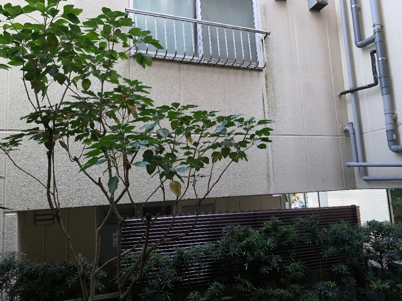 アーク大宮公園1階 部屋その他