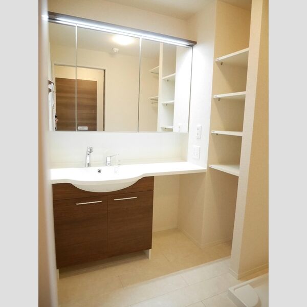 テロワール上石神井 201　洗面所