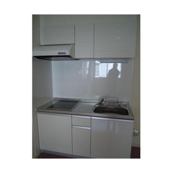 ベルジュ田園調布　D棟202号室 キッチン