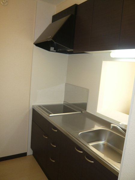 レオネクストカロータＮ　２番館 キッチン