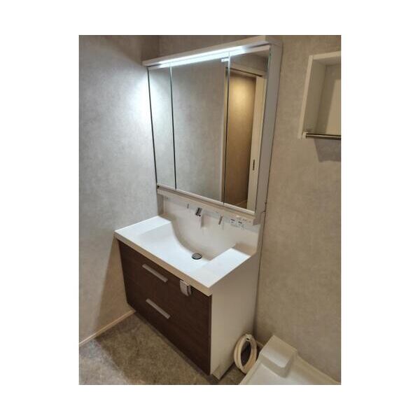 ヒンメルブラウ　野方101号室 洗面