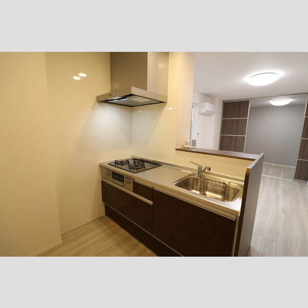 N・D-ROOM IIDACHOU　A棟107号室 対面キッチン