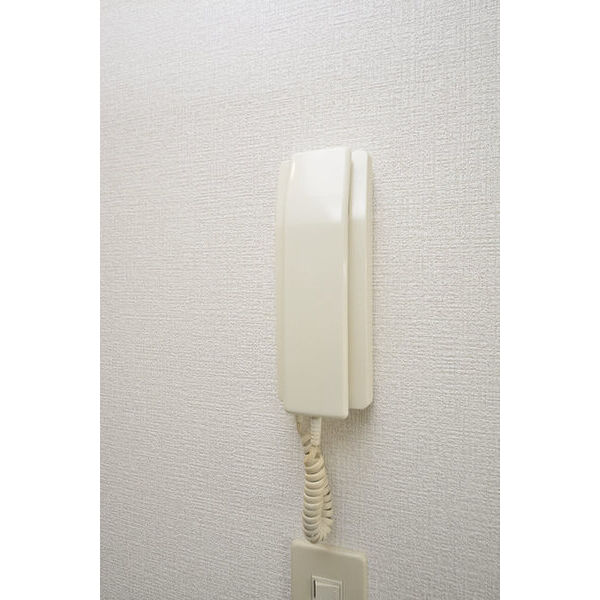 ダンデライアン鵠沼0201号室 部屋その他