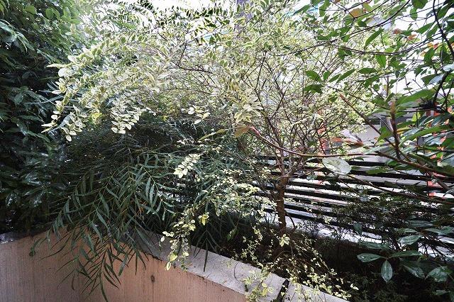 ALERO参宮橋1階 眺望