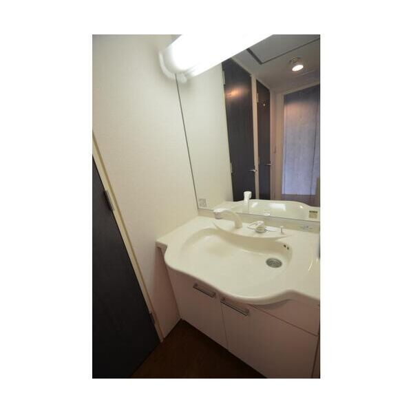2232フレグランスアベニュー301号室 洗面