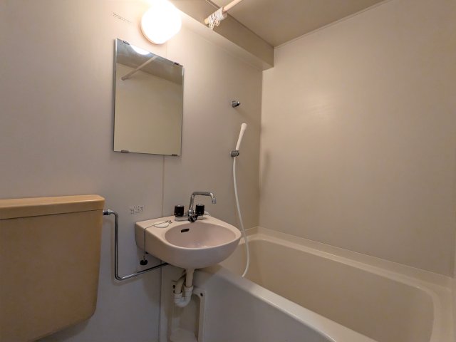 セントラル本厚木0306号室 洗面