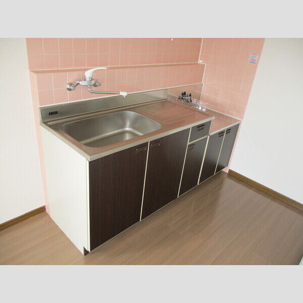 第5フェニックス 307(キッチン)