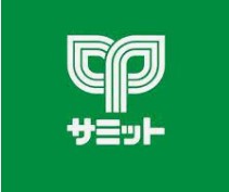 田中マンション0303号室 【デパート】サミットストア石神井台店まで492ｍ