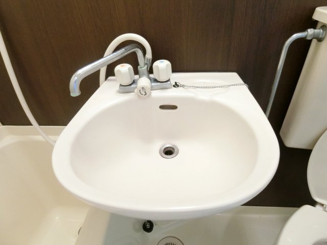 ＳＡＮＫＯ　ＨＥＩＧＨＴＳ　ＯＳＡＫＩ0405号室 洗面