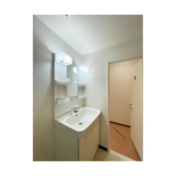 リバティハウス201号室 洗面