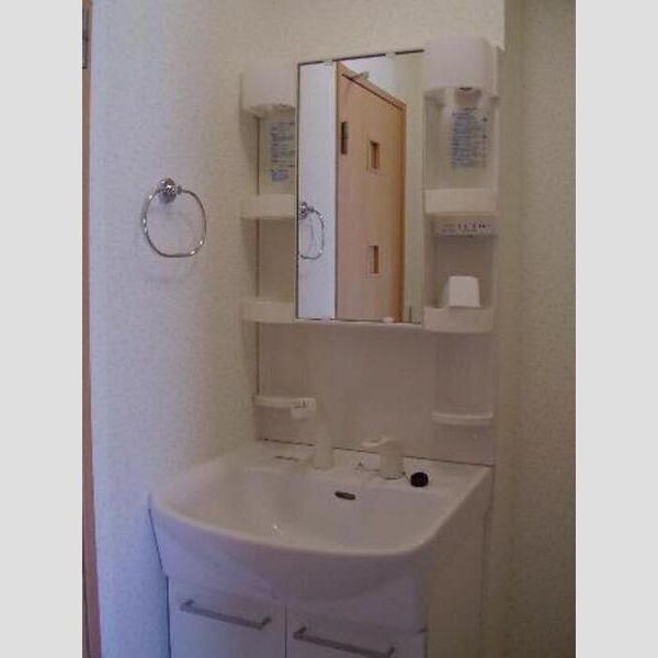 パークサイドK 洗髪洗面化粧台