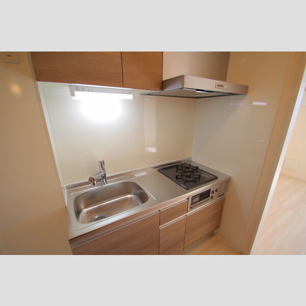 Grande CarroⅡ キッチン